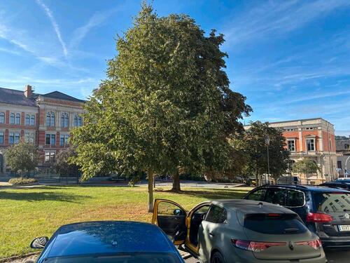 Foto - andere in Oelsnitz (Vogtland)