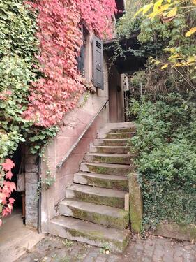 Foto - Einfamilienhaus zum Kaufen in Niederkirchen