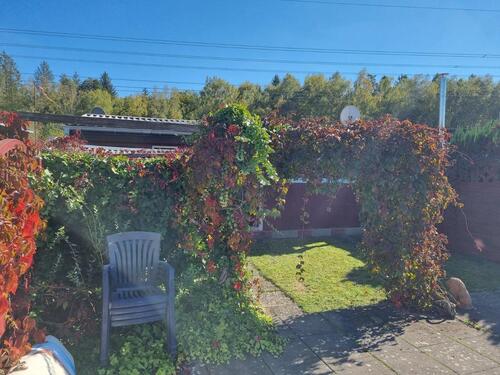 Foto - andere in Friedrichsthal