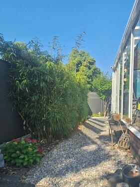 Foto - 7 Zimmer Bungalow zum Kaufen in Biblis