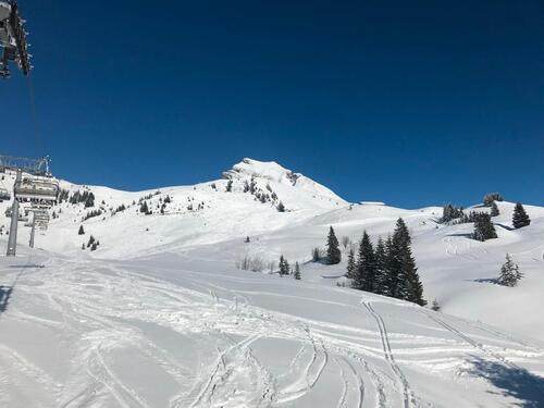 Foto - andere in Tettnang zur Miete