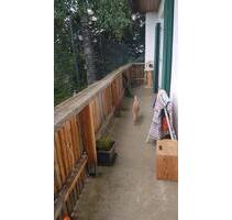 Zweifamilienhaus, Grund 850qm - 680.000,00&nbsp;EUR Kaufpreis, ca.&nbsp; 250,00&nbsp;m&sup2; in Haag an der Amper (PLZ: 85410) Inkofen