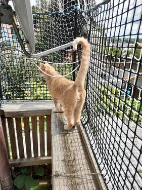 Foto - 10 Zimmer Einfamilienhaus zum Kaufen in Haag an der Amper