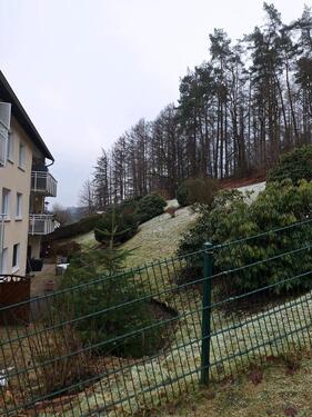 Foto - Schöne, helle Eigentumswohnung - 109.000,00&nbsp;EUR Kaufpreis, ca.&nbsp; 63,00&nbsp;m&sup2;