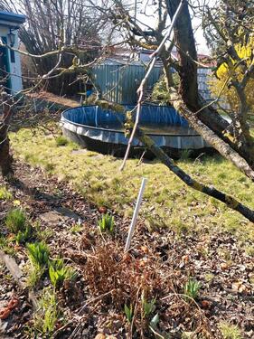 Foto - Grundst&uuml;ck zur Miete in Biederitz