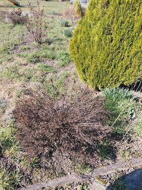 Foto - Grundst&uuml;ck in Biederitz