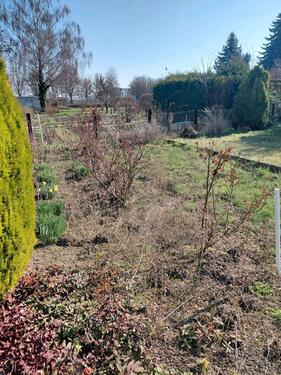 Foto - Grundst&uuml;ck in Biederitz zur Miete