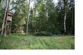Foto - Waldflächen in Veldershof - 8,00 EUR Kaltmiete, ca.  0,00 m²