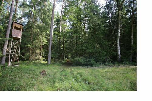 Foto - Waldflächen in Veldershof - 8,00 EUR Kaltmiete, ca.  0,00 m²