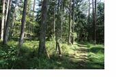 Foto - Grundstück in Lauf an der Pegnitz