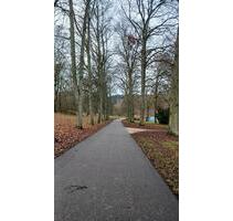 Mietwohnung - 800,00 EUR Kaltmiete, ca.  75,00 m² in Bad Schwalbach (PLZ: 65307)