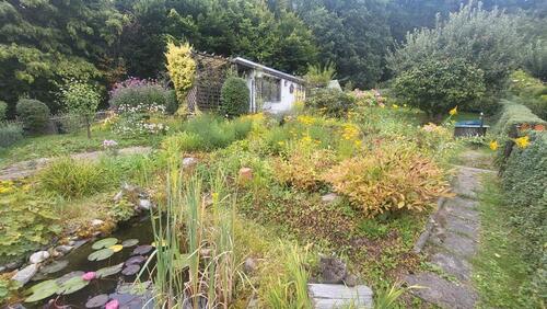 Foto - Garten in Kleingärtnerverein abzugeben KGV Frohe Zukunft e.V.