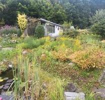 Garten in Kleingärtnerverein abzugeben KGV Frohe Zukunft e.V. - Freital