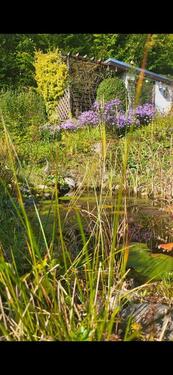 Foto - Grundst&uuml;ck in Freital zur Miete