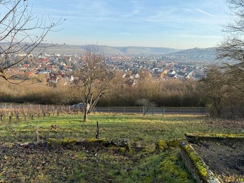 Foto - Gartengrundstück - 75,00&nbsp;EUR Kaltmiete, ca.&nbsp; 0,00&nbsp;m&sup2;