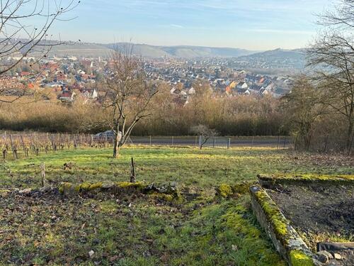 Foto - Grundst&uuml;ck zur Miete in Würzburg