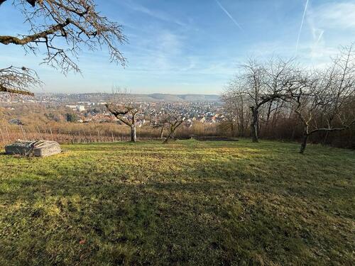 Foto - Grundst&uuml;ck in Würzburg