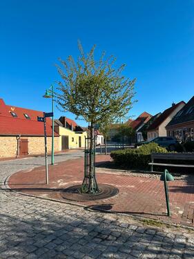 Foto - 3 Zimmer Etagenwohnung zur Miete in Goldberg