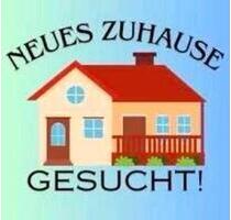 EIGENTUM | Min. 3 Schlafzimmer und Garten in Gronau! - Gronau (Westfahlen)