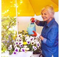 SeniorenWohnen in Innenstadtnähe! - Neubrandenburg