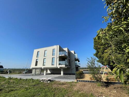 Foto - Etagenwohnung zur Miete in Armsheim