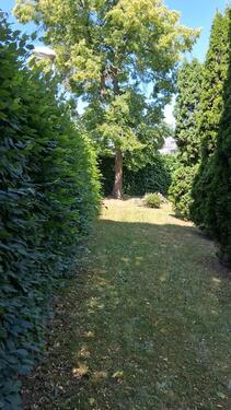 Foto - Grundstück in Leutenberg - 2.900,00 EUR Kaltmiete, ca.  0,00 m²