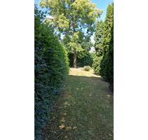 Grundstück in Leutenberg - 2.900,00&nbsp;EUR Kaltmiete, ca.&nbsp; 0,00&nbsp;m&sup2; in Kaulsdorf (PLZ: 07338)