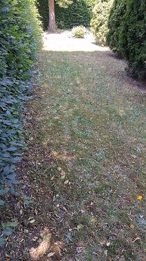 Foto - Grundstück zur Miete in Kaulsdorf