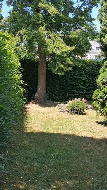 Foto - Grundstück in Kaulsdorf