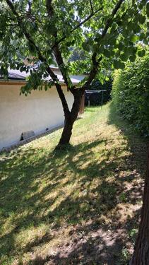 Foto - Grundstück in Kaulsdorf zur Miete