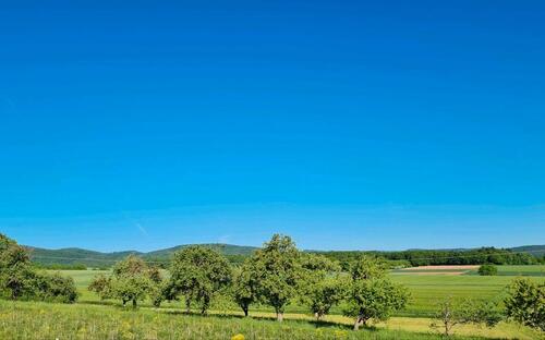 Foto - andere zur Miete in Wetter (Hessen)
