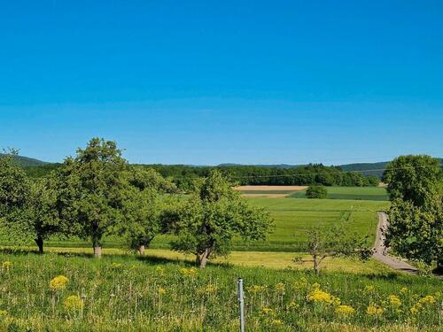 Foto - andere in Wetter (Hessen)