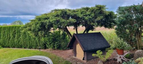 Foto - Grundst&uuml;ck in Berlin zur Miete