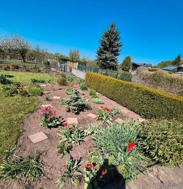 Foto - Grundstück in Staßfurt