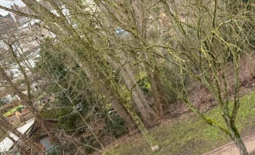 Foto - DG Wohnung Bochum Stadtpark Dichterviertel (grüne Lage)