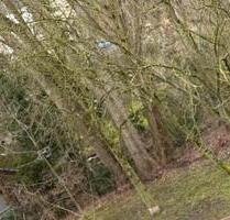 DG Wohnung Bochum Stadtpark Dichterviertel (grüne Lage)