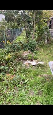 Foto - Pachtgrundstück in Berlin Waidmannslust 720qm Bauland