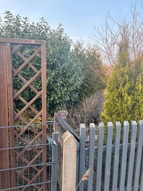 Foto - Grundst&uuml;ck in Brandis