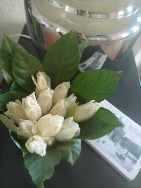 Foto - Etagenwohnung in Oberndorf am Neckar zur Miete