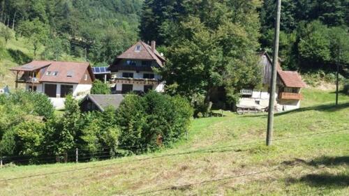 Foto - 2-Zi-Dachgeschosswohnung in Gengenbach zu vermieten