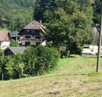2-Zi-Dachgeschosswohnung in Gengenbach zu vermieten