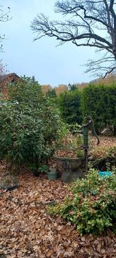 Foto - Einfamilienhaus in Möhnesee zum Kaufen