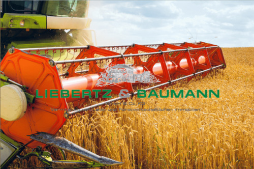 Foto - Landwirtschaftliche Flächen in Sachsen zur Kapitalanlage (langfristige Verpachtung)
