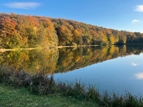 Foto - andere zur Miete in Nentershausen
