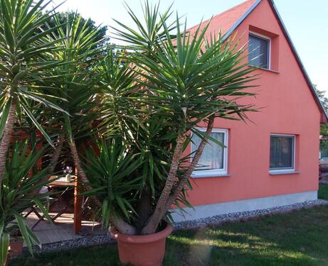 Foto - Ferienhaus Ferienwohnung Haus mit Boot - 31.08. bis 06.09.25