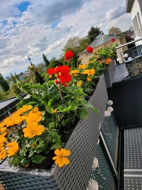 Foto - Wohnung, Penthouse, 3 Zi., Vollmöbliert, Heddernheim