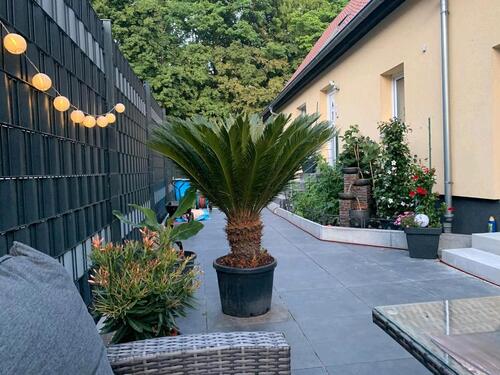 Foto - Haus zu verkaufen - 450.000,00&nbsp;EUR Kaufpreis, ca.&nbsp; 132,00&nbsp;m&sup2;