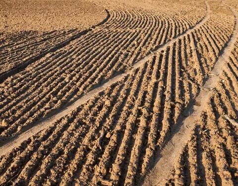 Foto - Angebot Ackerland in Ihlow Ludwigsdorf zur Pacht