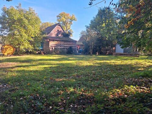 Foto - Tiny house Stellplatz - 250,00 EUR Miete,