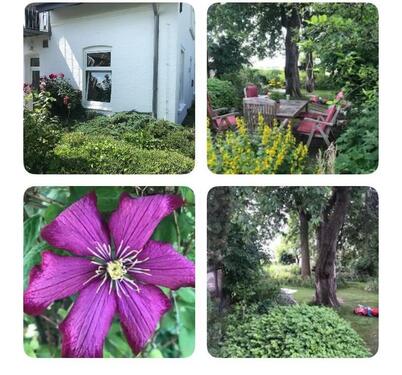 Foto - andere in Preetz